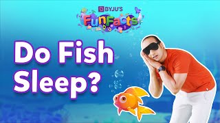 Do Fish Sleep  BYJUS Fun Facts [upl. by Fatimah72]