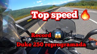 KTM Duke 250 Ng Top speed  nuevo record  reprogramada por AZ Motorsports [upl. by Cinamod71]