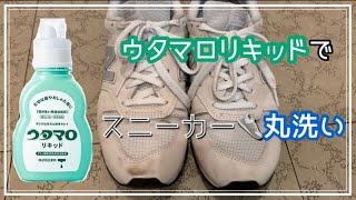 【ウタマロ】ウタマロリキッドでスニーカー👟丸洗い！ [upl. by Goodwin]