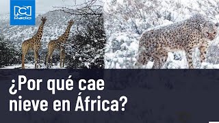 Video estas son las razones de la caída de nieve en África [upl. by Efren]