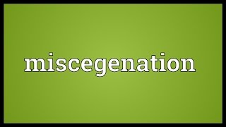 Miscegenation Meaning [upl. by Analram]