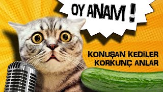 Konuşan Kediler  En Korkunç Anlar Oy Anam [upl. by Anaz]