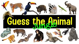 Guess the Animal Sound Game  Jungle Animal Sounds Quiz [upl. by Aihsatsan]