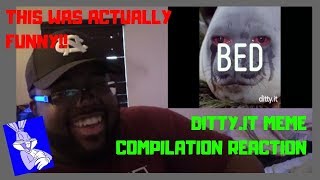 DITTYIT MEME COMPILATION REACTION [upl. by Enicar563]