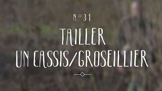 Tailler un cassis ou un groseillier [upl. by Nozicka]