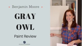 Paint Colour Review Benjamin Moore Gray Owl OC52 [upl. by Irrahs]