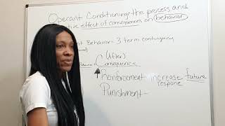 Reinforcement and Punishment within Operant Conditioning [upl. by Aihsiek3]