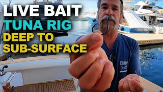 How to Catch Tuna  Live Bait Rig FOR Sub Surface to DEEP [upl. by Elleraj]