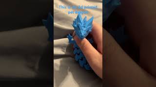 My pet dragon dragon 3dprint [upl. by Mahala675]