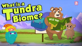 TUNDRA BIOME  What Is A Tundra Biome  Tundra Region  The Dr Binocs Show  Peekaboo Kidz [upl. by Weinstein]