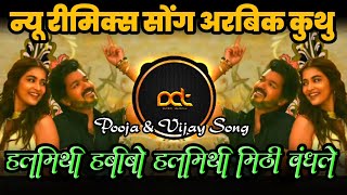 Halamithi Habibo  Arabic Kuthu Song  Thalapathy Vijay New Song  DJ Avi Tuljapur [upl. by Kcam]