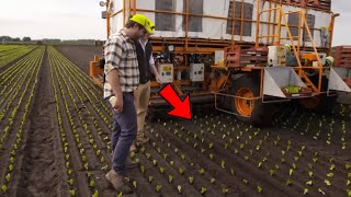 Advanced Agriculture Planting Technology  Modern Agriculture Technology  New Farming Technology [upl. by Monson683]