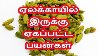 Ashwagandha  Uses அஸ்வகந்தா எப்படி சாப்பிட வேண்டும் யார் எல்லாம் எடுத்துக் கொள்ளக்கூடாது [upl. by Oiramad]