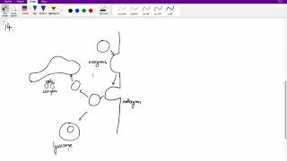 ACER GAMSAT Purple Booklet Worked Solutions  Unit 4 Q1217 [upl. by Aivull593]