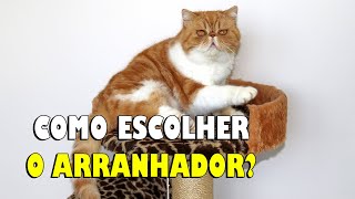 Como escolher o MELHOR arranhador para o gato  Gatil Hauser [upl. by Eniortna]