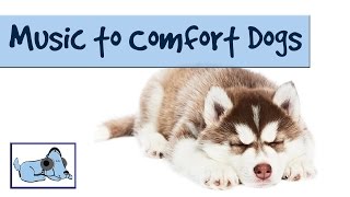 Music to Comfort Dogs  Relaxing Music for Dogs Who are Alone Suffer with Separation Anxiety [upl. by Sherris]