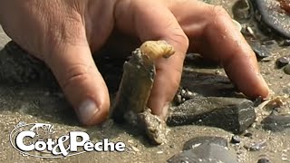 Technique de pêche des couteaux [upl. by Aikel]