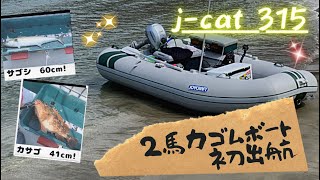 2馬力ゴムボート サゴシ入れ食い！2020年4月3日 jキャット inflatable boat [upl. by Waldo157]