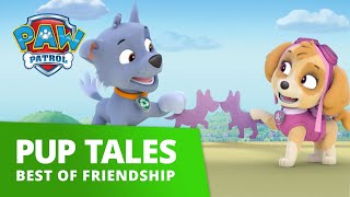 PAW Patrol  Friendship Day Music Video  PAW Patrol Official and Friends [upl. by Novihs]