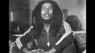 bob marley and the wailers Jah Live instrumental inedit 1 [upl. by Pownall211]