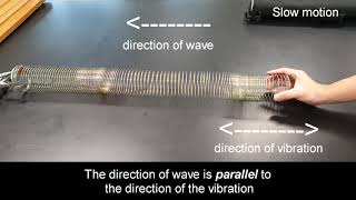 Longitudinal wave using slinky coil [upl. by Aisenat260]