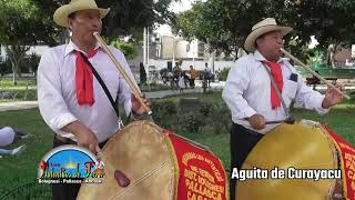 ▶ RONCADORA LOS AUTENTICOS DE FERRER [upl. by Narine116]