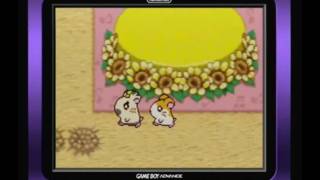 Lets Play Hamtaro HamHam Heartbreak Part 1  Deja Vu [upl. by Eiramalegna]