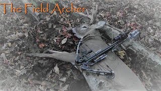 Crossbow Hunting 5 Year Old Buck Drops On Camera [upl. by Atiuqrahs]