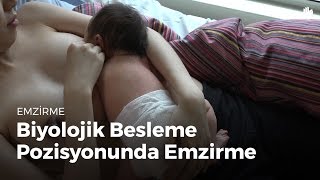 Emzirme Biyolojik besleme pozisyonunda süt emzirme [upl. by Charin]