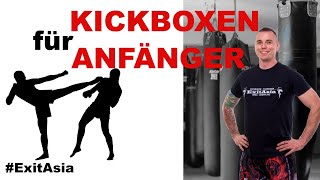 Kickboxen Anfänger Training 1 [upl. by Htevi707]