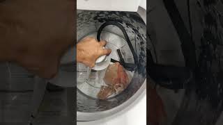 Best amp Worst Washers  2023 Samsung GE LG Whirlpool [upl. by Brandon927]