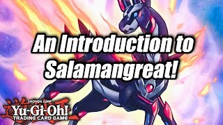 YuGiOh An Introduction to Salamangreat [upl. by Ifill967]