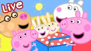 Peppa Pig Full Episodes  LIVE 🚨 BRAND NEW PEPPA PIG EPISODES ⭐️ [upl. by Schaumberger]