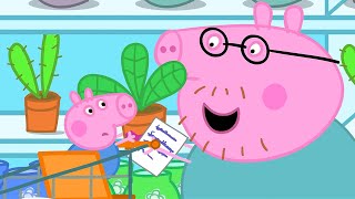 House Plant Shopping 🐽 Peppa Pig and Friends Full Episodes [upl. by Acireit]