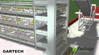 GARTECH FIENHAGE  layer battery cages  jaulas de Pollos Engorde [upl. by Ilojna]