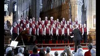 Chorus of the Hebrew Slaves Peterborough Male Voice Choir [upl. by Ayouqes879]