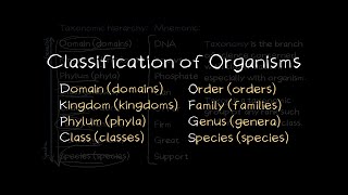 Classification of Organisms [upl. by Ginsberg]