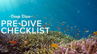 The Pre Dive Checklist  Deep Dive [upl. by Nessim809]