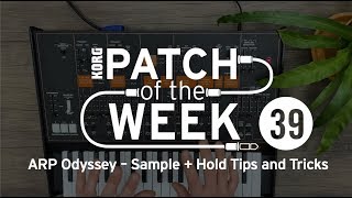 Patch of the week 39 ARP Odyssey – Sample  Hold Tips and Tricks [upl. by Itida315]