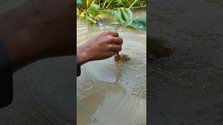 Unique Fishing hand Fishing Challenge Video 😲fishingshortsviralshort [upl. by Aiciled]