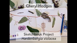 Sketchbook Project  Hardenbergia violacea [upl. by Ilhsa]