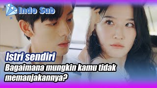 Indo SubPasangan PanasIstriku Seorang Ratu Drama🌟💎BintangBerlianMiniDrama [upl. by Llenol]