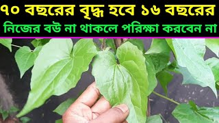 হীরার থেকেও মূল্যবান এই গাছhealth benefits of Pakistani lota [upl. by Klute]