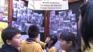 Feria de Ciencia y Tecnología para niños [upl. by Enilauqcaj]