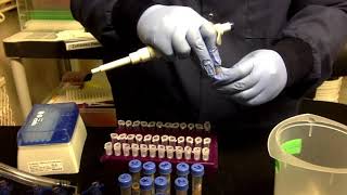 Power Water DNA Extraction Protocol [upl. by Je]