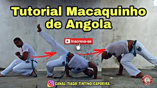 Capoeira Tutorial Macaquinho de Angola  Carneirinho  Macaquinho de chão  Macaquinho [upl. by Aluin112]