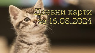 Дневни карти за всички зодиакални знаци за 16082024 [upl. by Sirtimid827]