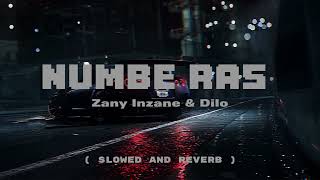 Numbe Ras  Zany Inzane amp Dilo  slowed and reverb [upl. by Jamill89]