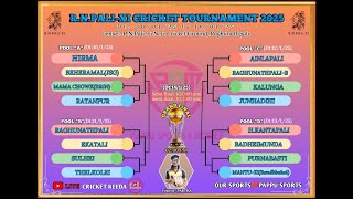 LIVE 2nd SEMIFINALRN PALI XI CRICKET TOURNAMENT 2025PURNABASTI vs AINLAPALI [upl. by Sholom]