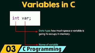 Introduction to Variables [upl. by Obau]